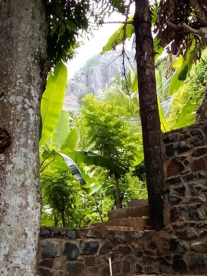 Forest Rawana Homestay Procida Dış mekan fotoğraf