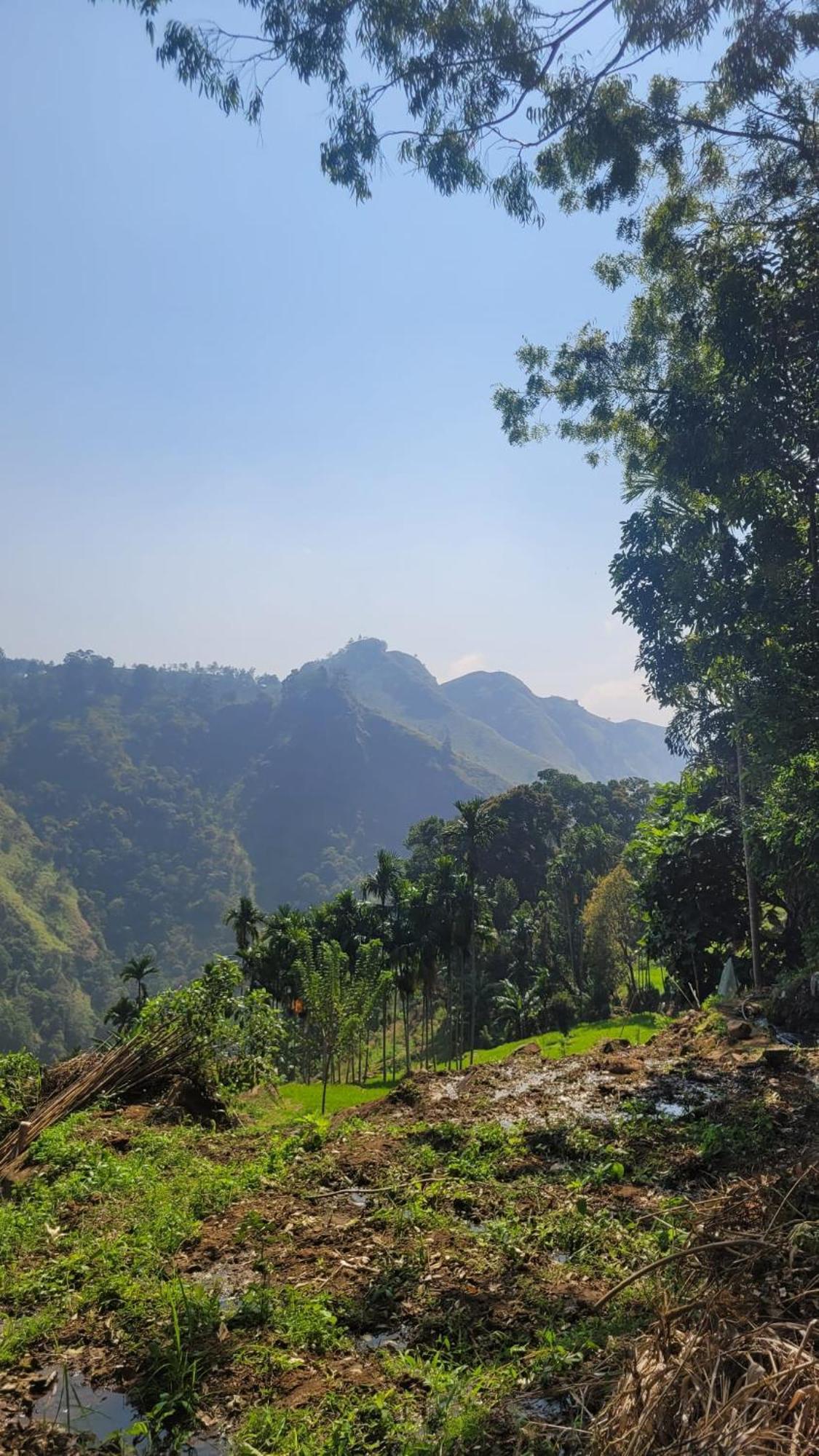 Forest Rawana Homestay Procida Dış mekan fotoğraf