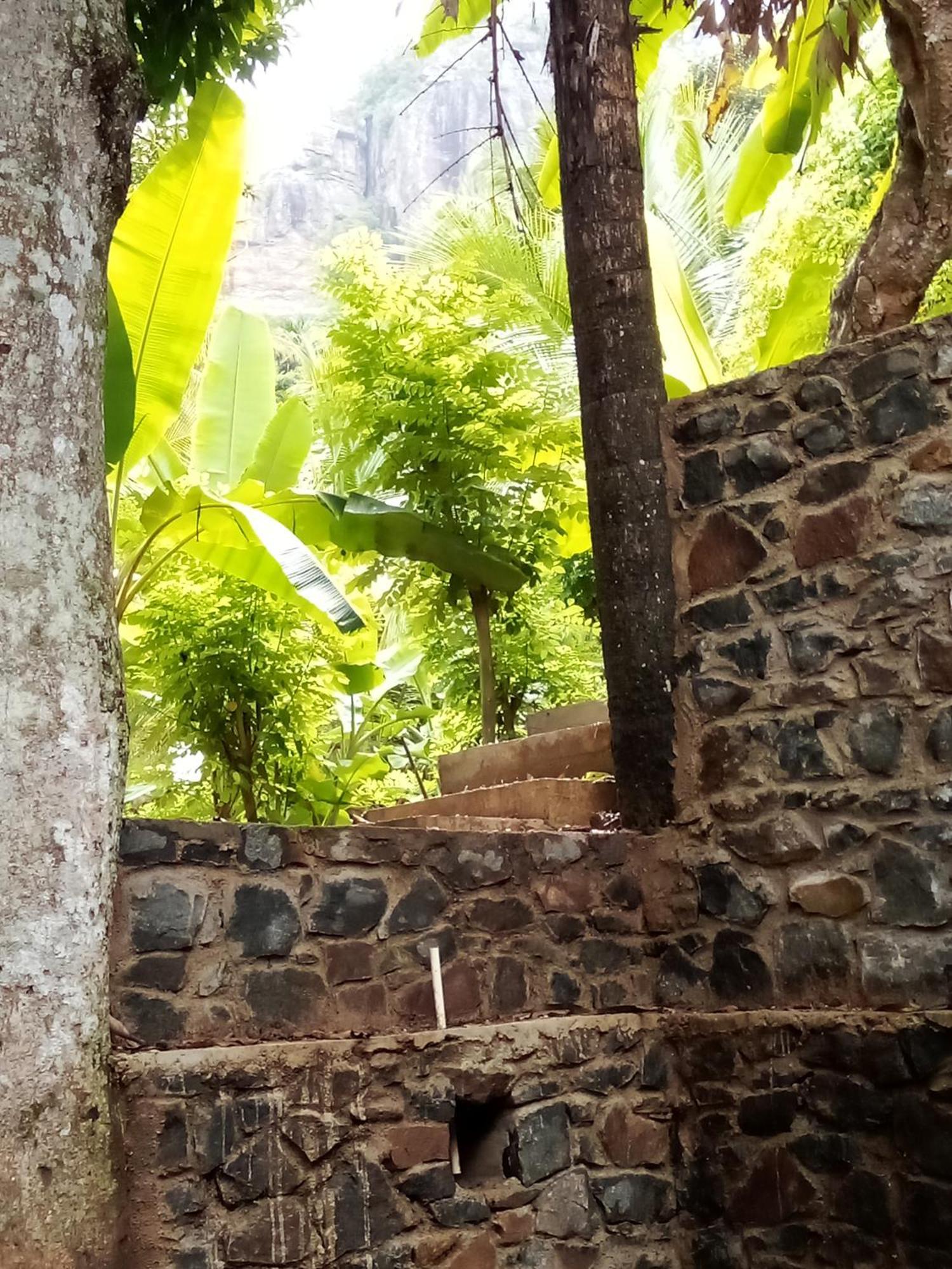 Forest Rawana Homestay Procida Dış mekan fotoğraf