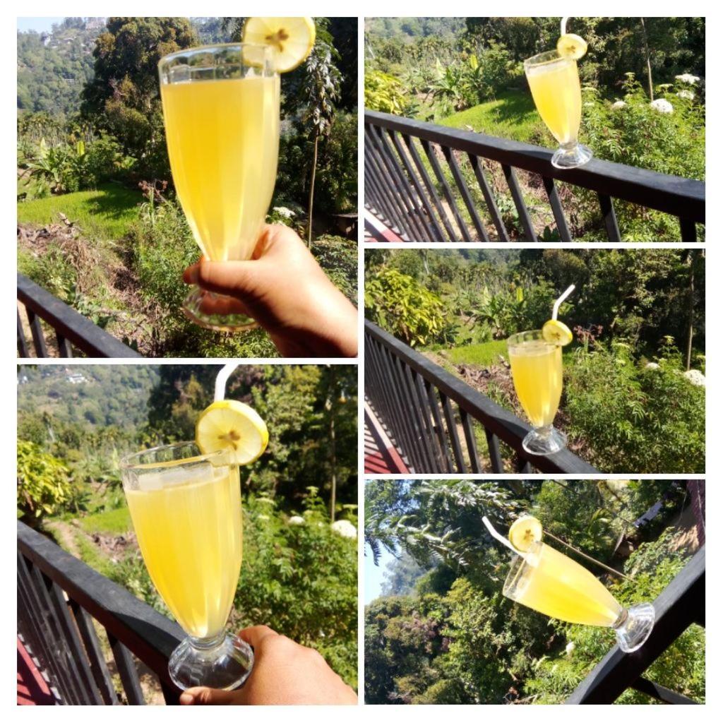 Forest Rawana Homestay Procida Dış mekan fotoğraf