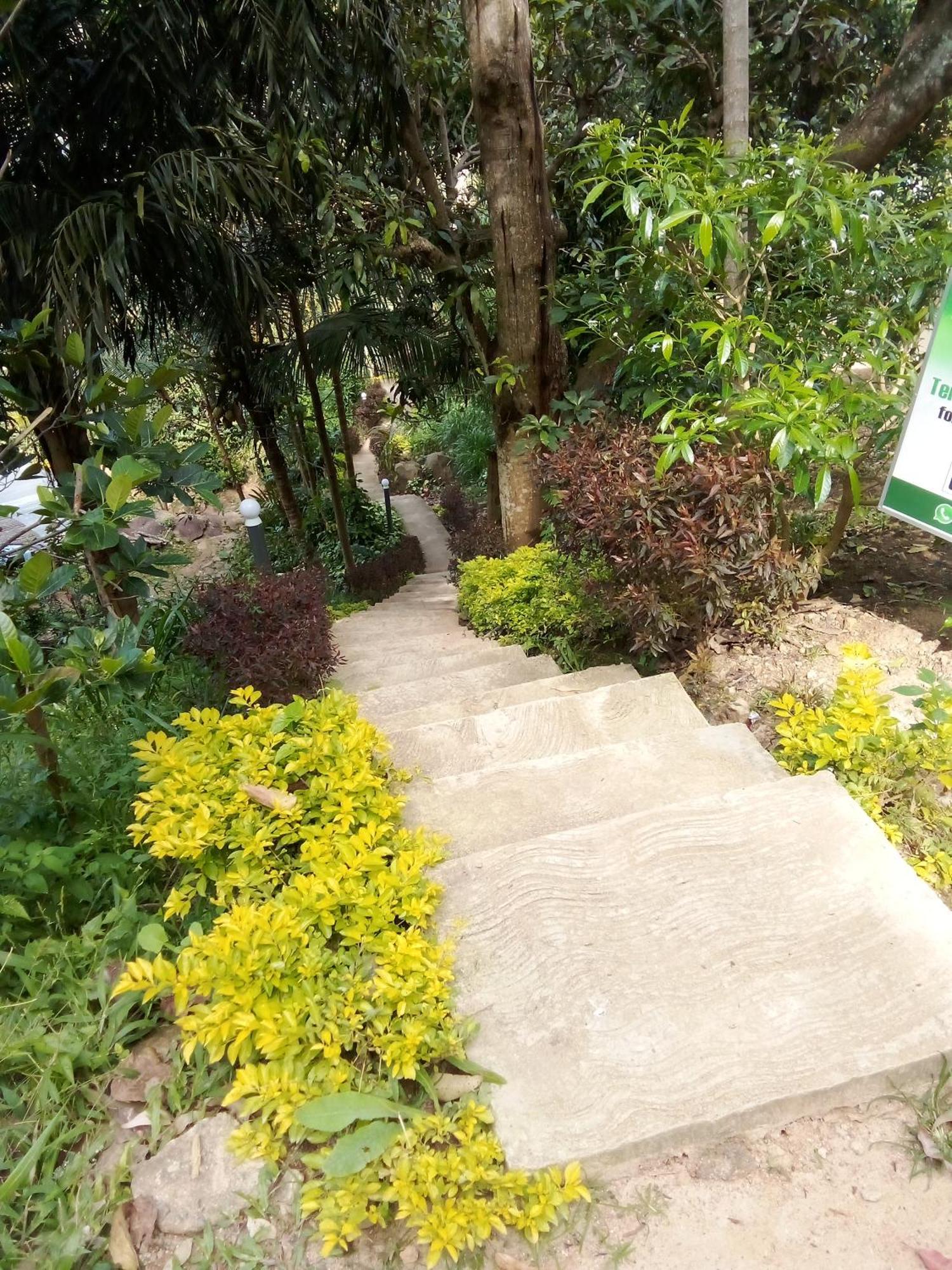 Forest Rawana Homestay Procida Dış mekan fotoğraf