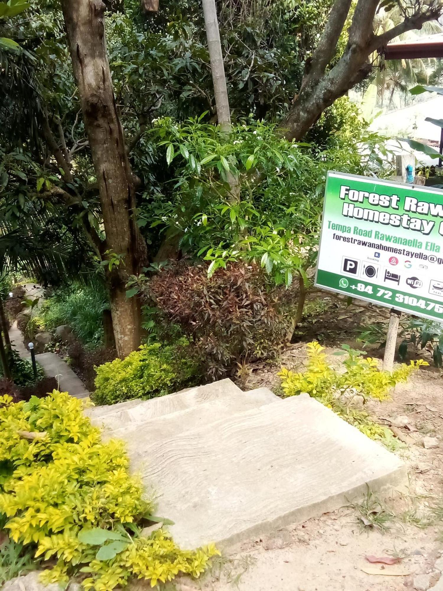 Forest Rawana Homestay Procida Dış mekan fotoğraf